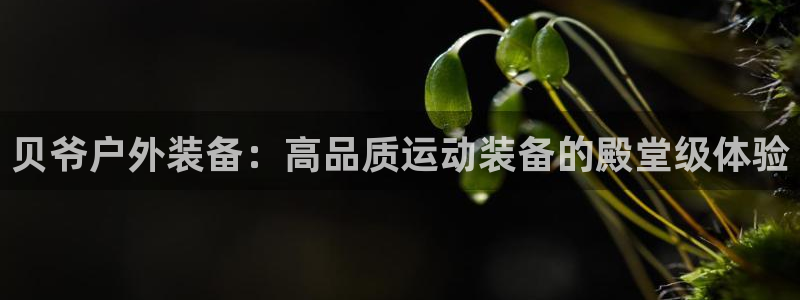 先锋娱乐转进去钱