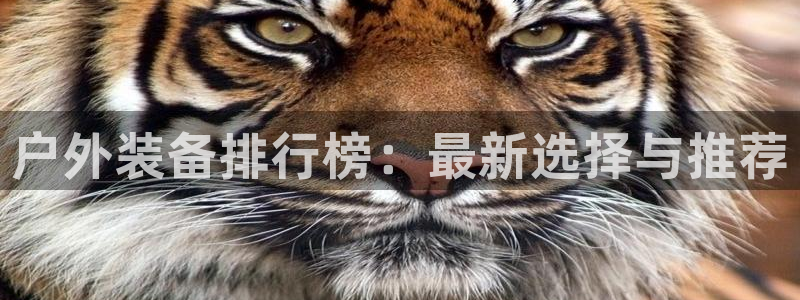 先锋娱乐炸金花