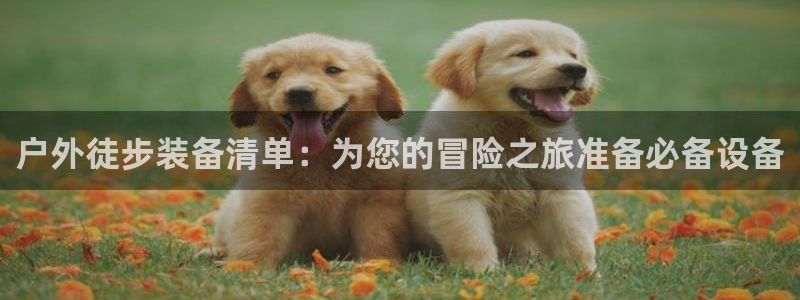 亚洲先锋娱乐招股