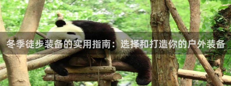 亚洲先锋娱乐招股