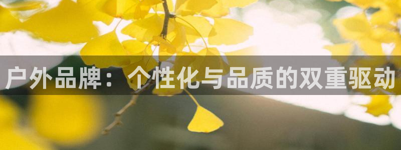 先锋娱乐体育管理集团