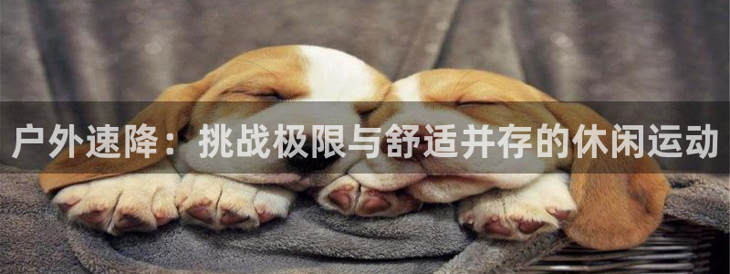 威斯汀娱乐先锋