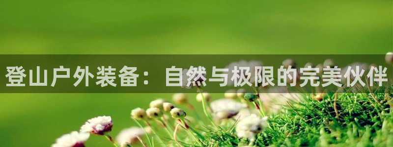 亚洲先锋娱乐跌