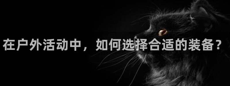 先锋娱乐大厅平台