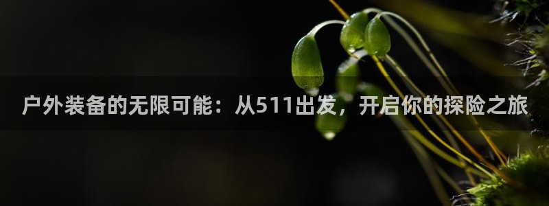 先锋娱乐网67xf