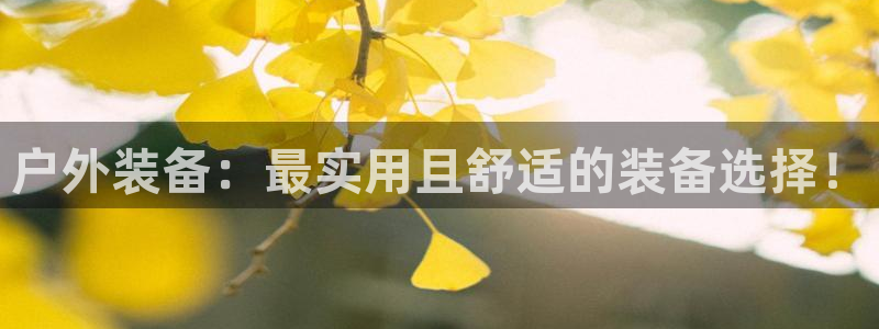 先锋娱乐垫付金额