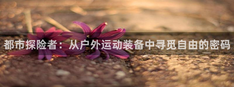 亚洲先锋娱乐行情