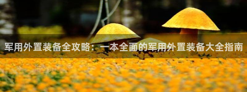 先锋娱乐大厅平台