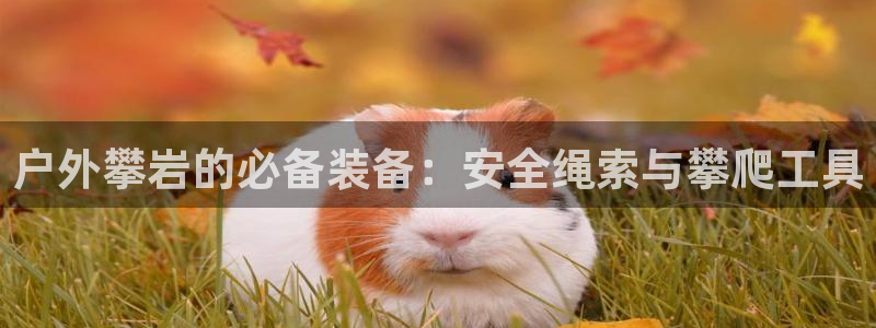 先锋娱乐游戏软件