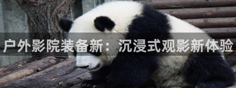 先锋娱乐大厅首页