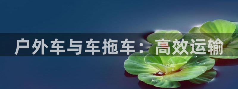 先锋娱乐大厅斗牛