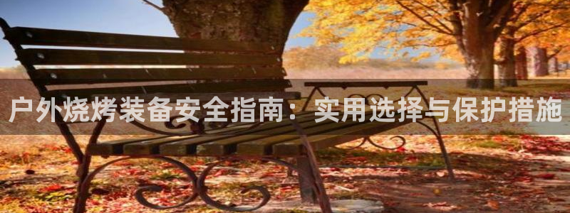 先锋电子车载娱乐系统