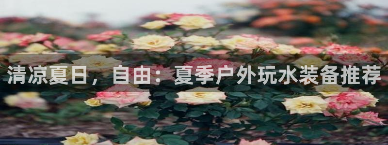 威斯汀娱乐先锋