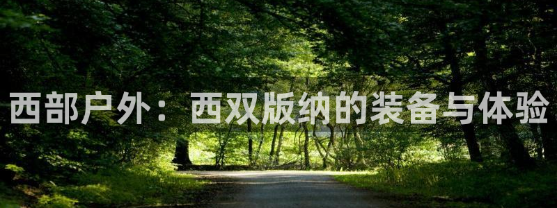 先锋娱乐资讯官网入口