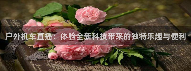 先锋娱乐简介图片